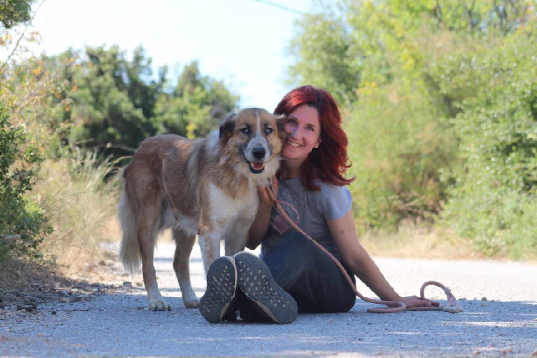 Redi Zorro Dogsavior Aug26 3