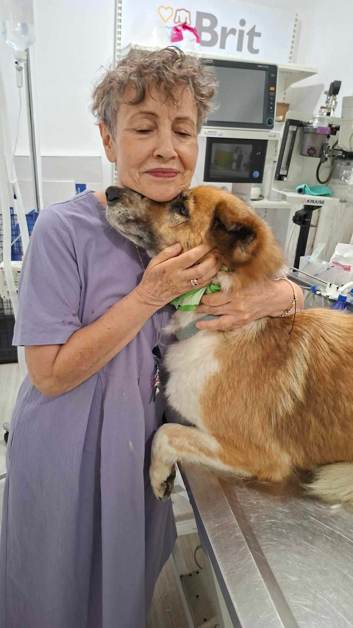 Redi Zorro Dogsavior Aug26 7