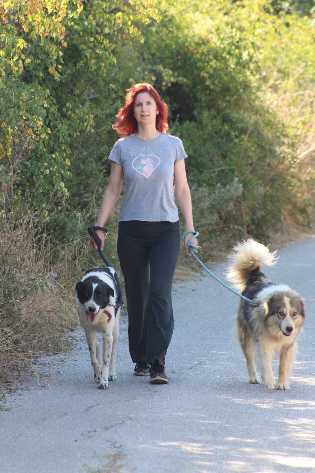 Zoe Zorro Dogsavior Aug26 7