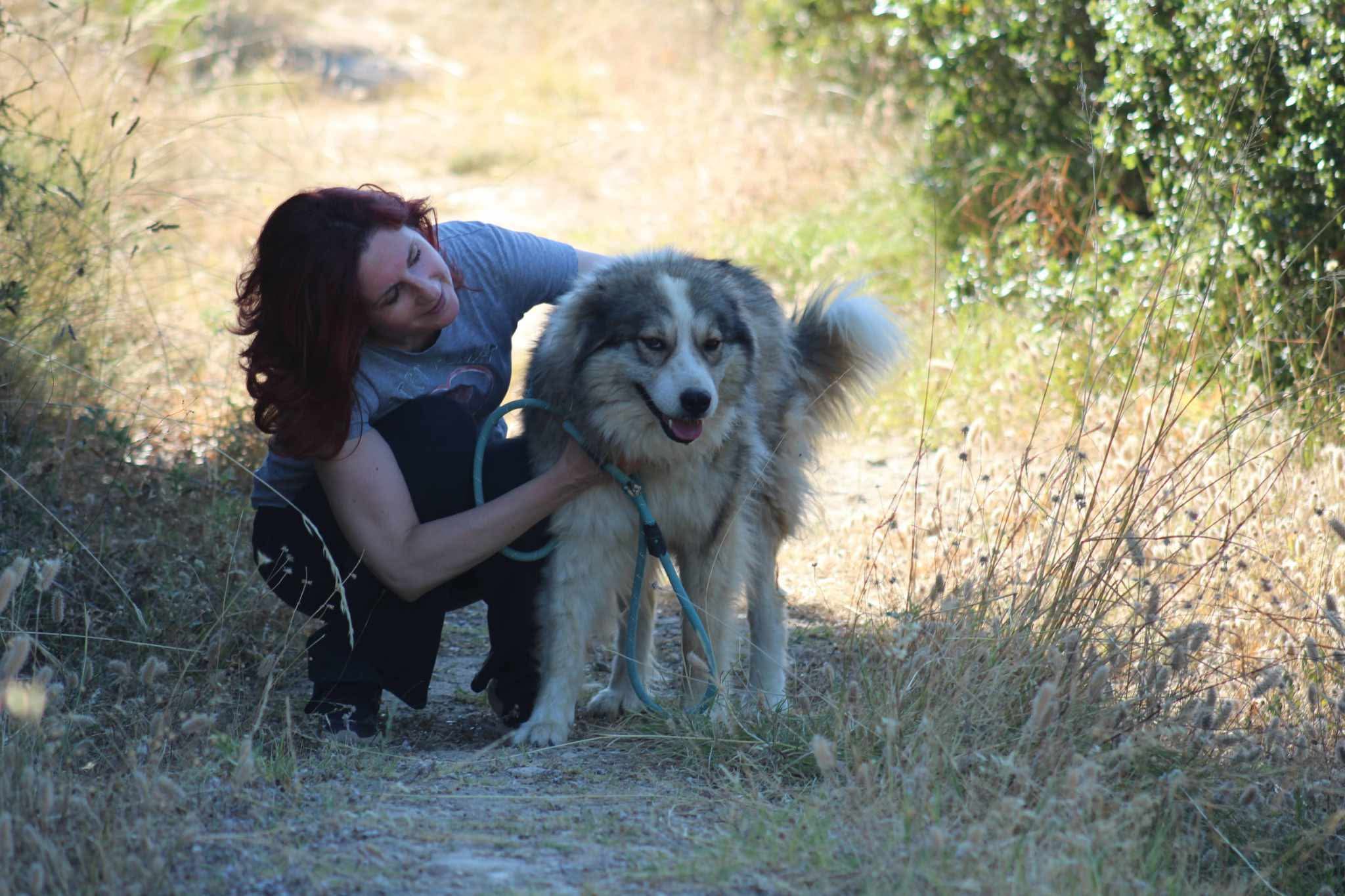 Zoe Zorro Dogsavior Aug26 9