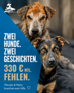 sommerloch1