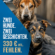 sommerloch1