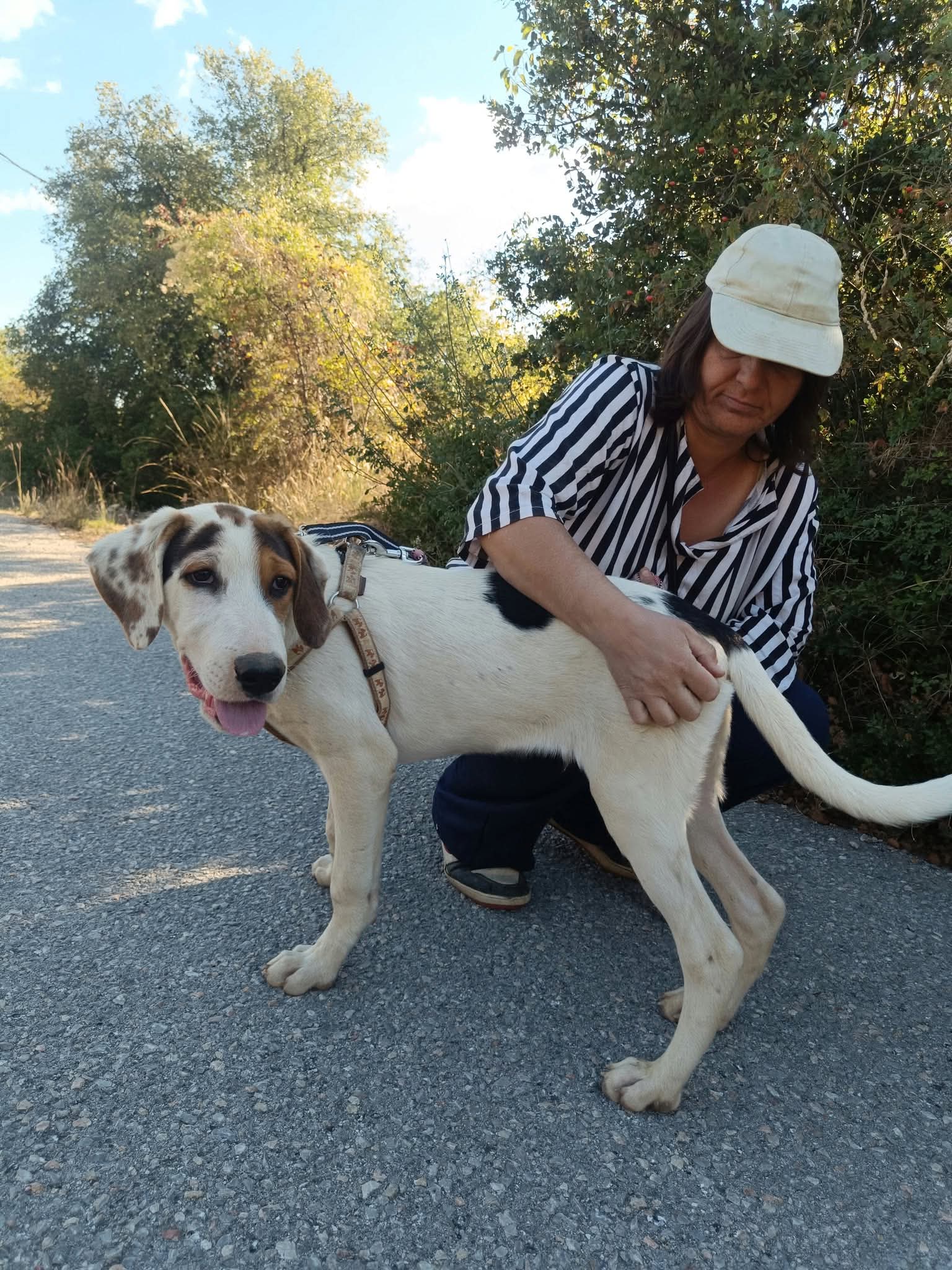 Moby Zorro Dogsavior Okt26 1