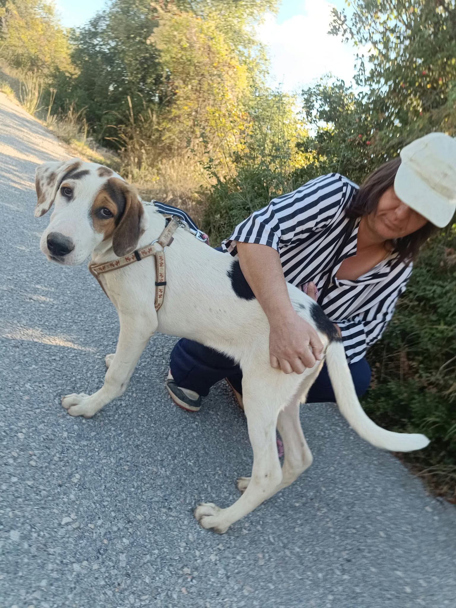 Moby Zorro Dogsavior Okt26 3