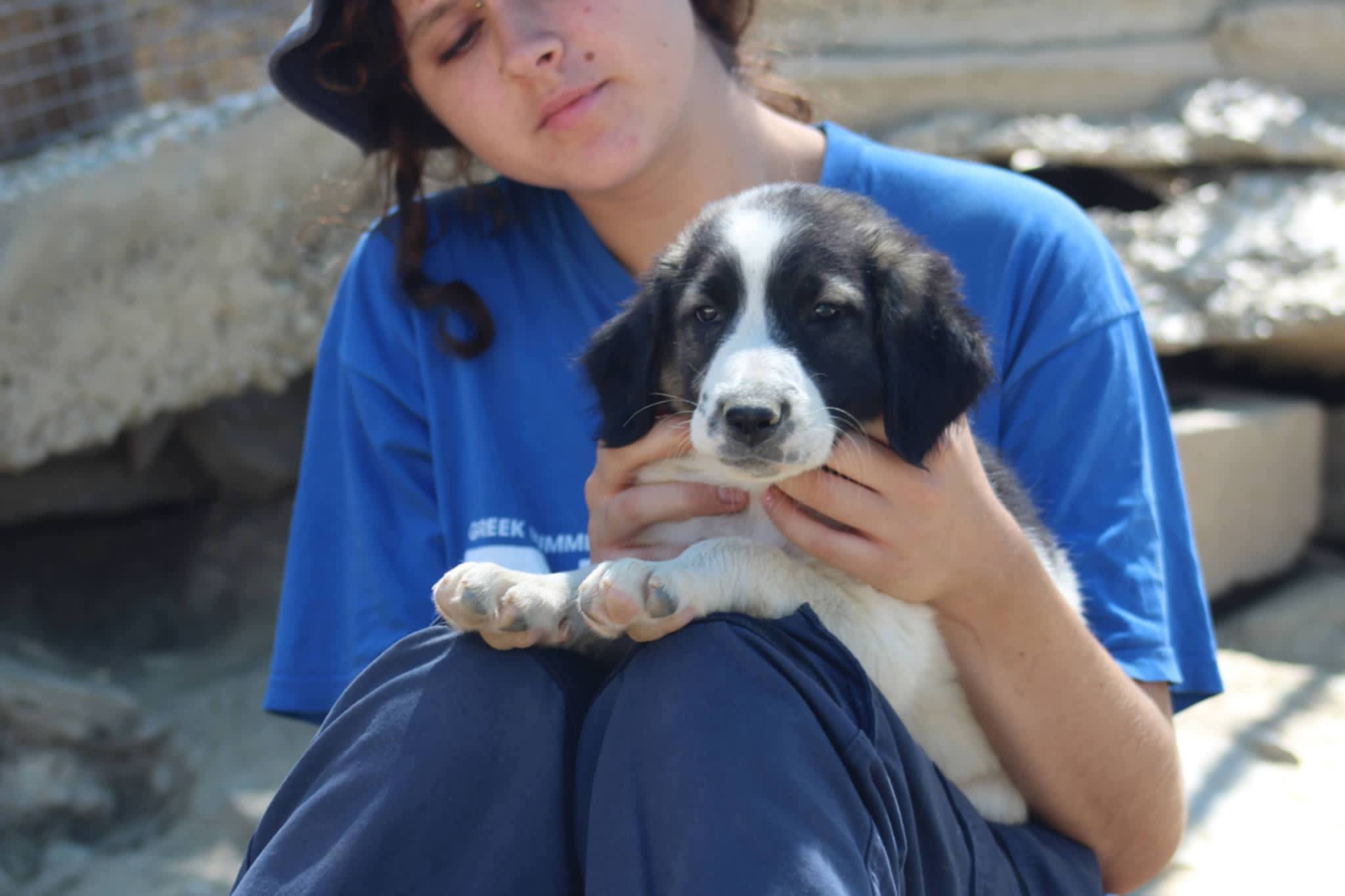 Pata Zorro Dogsavior Aug26 5