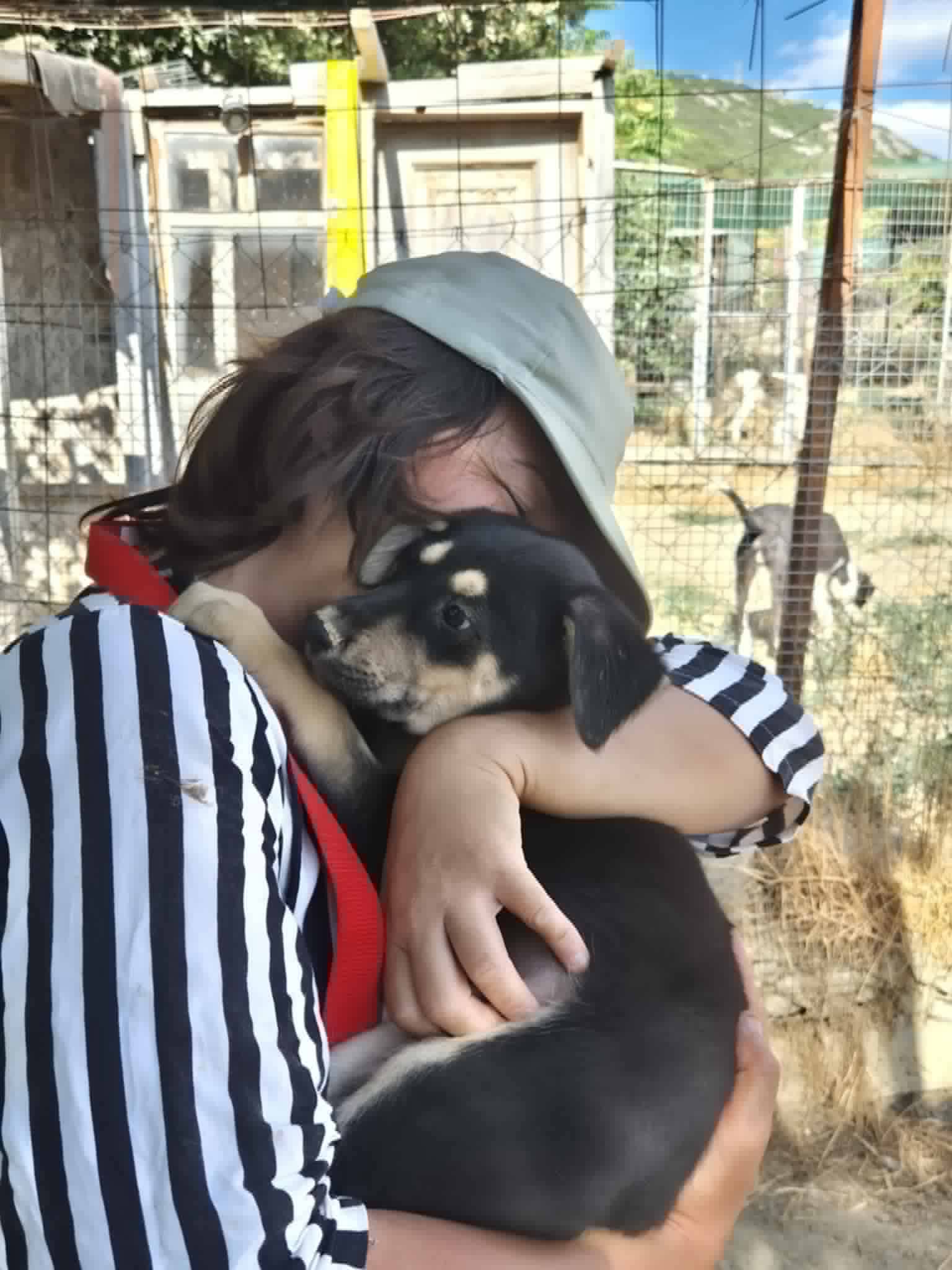 Romeo Zorro Dogsavior Aug26 4