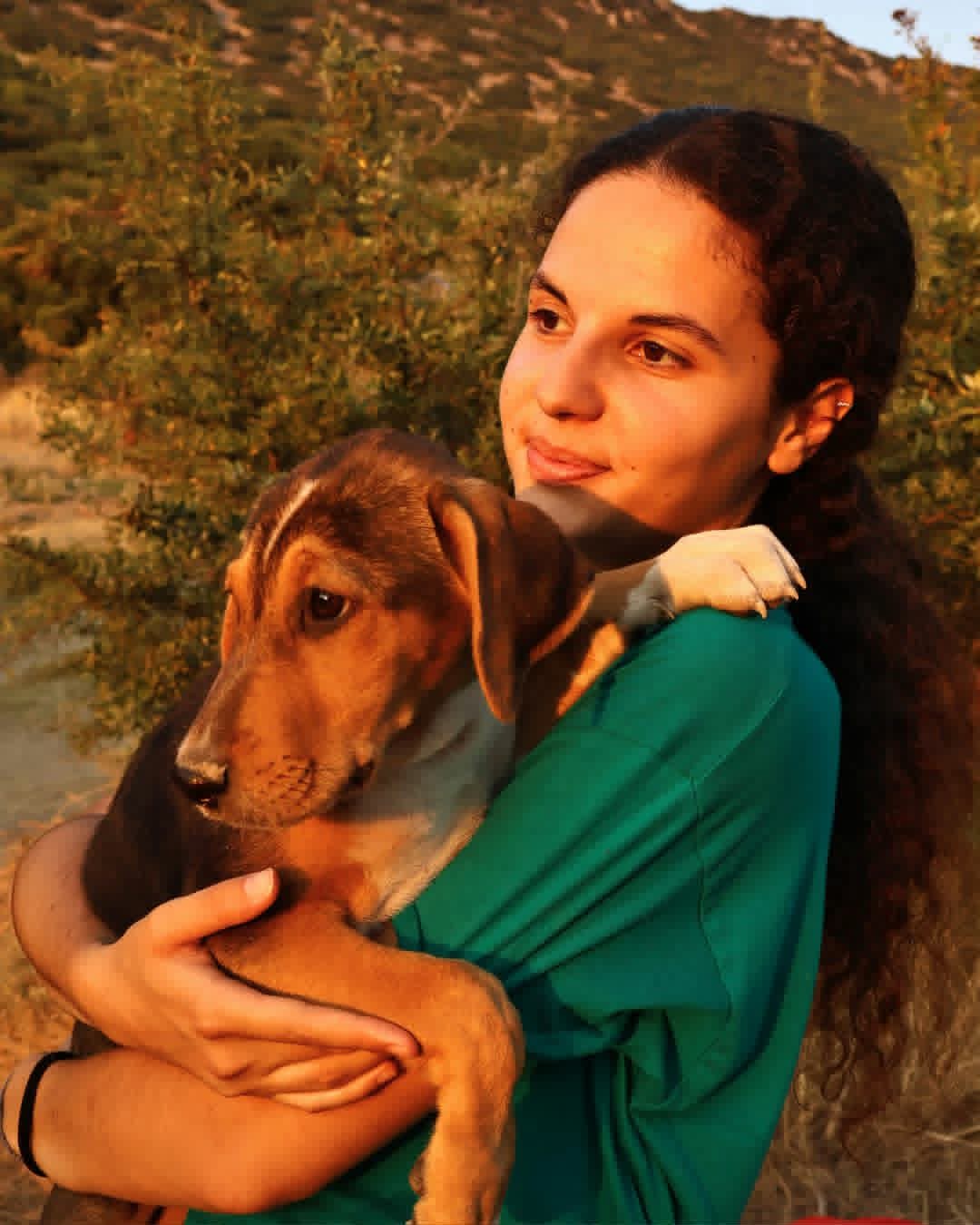 Trico Zorro Dogsavior Aug262