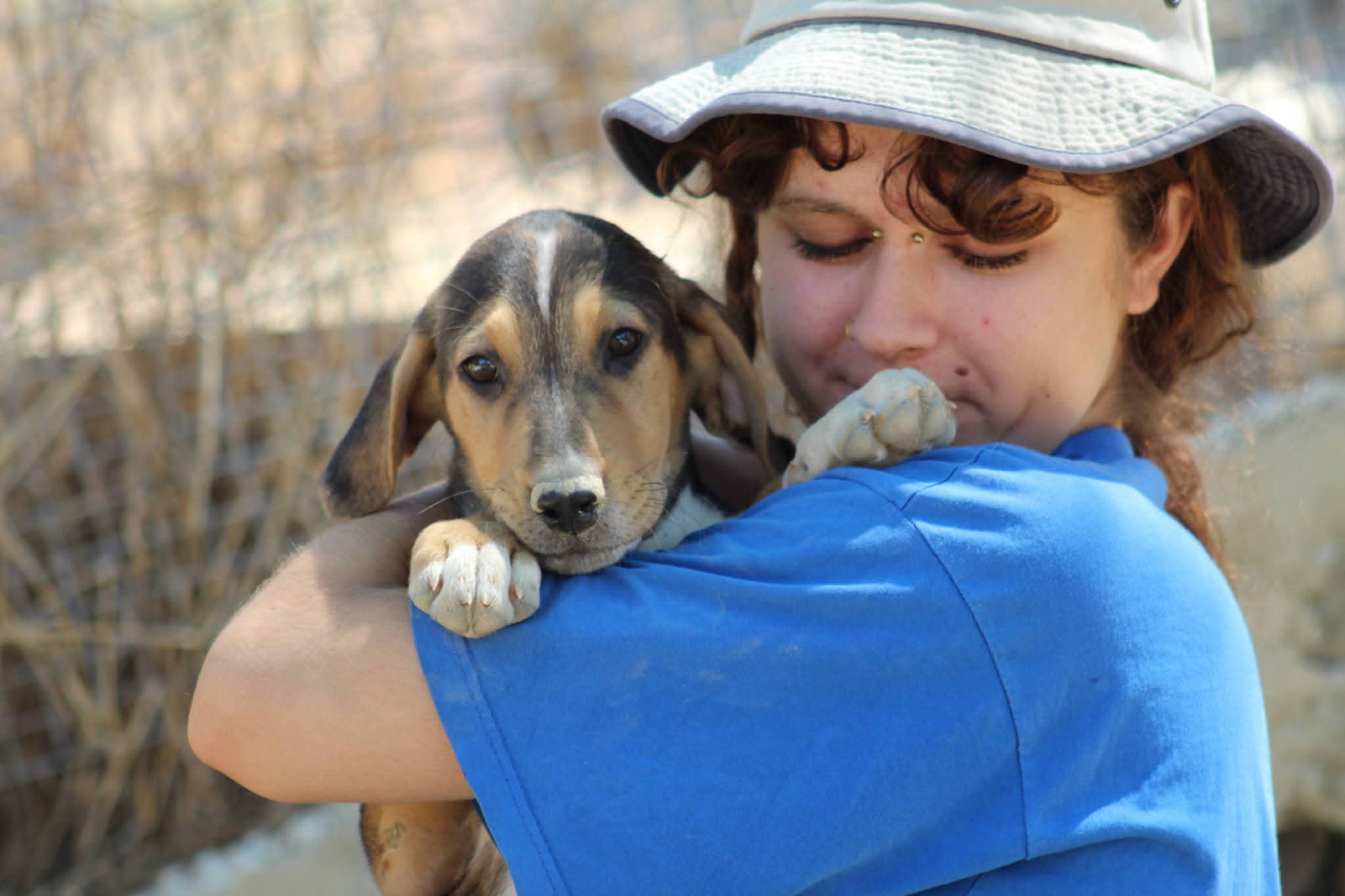 Trico Zorro Dogsavior Aug265