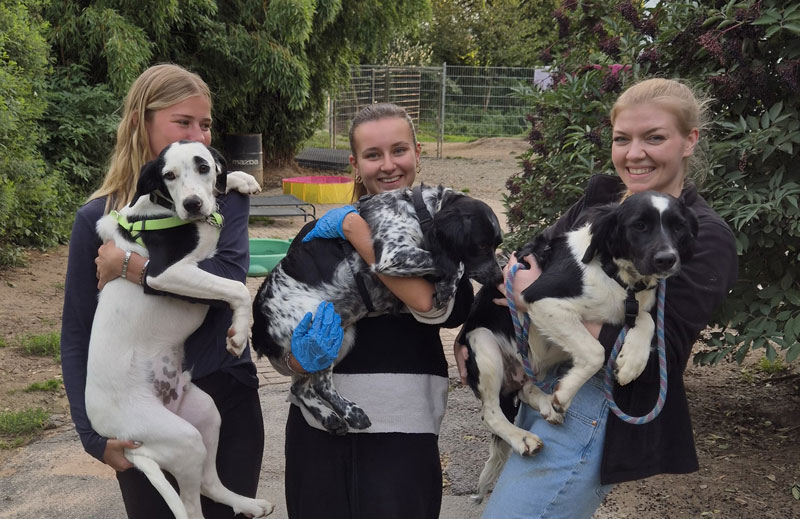 3 Team-Mitgliederinnen des Zorro Dogsavior e. V.