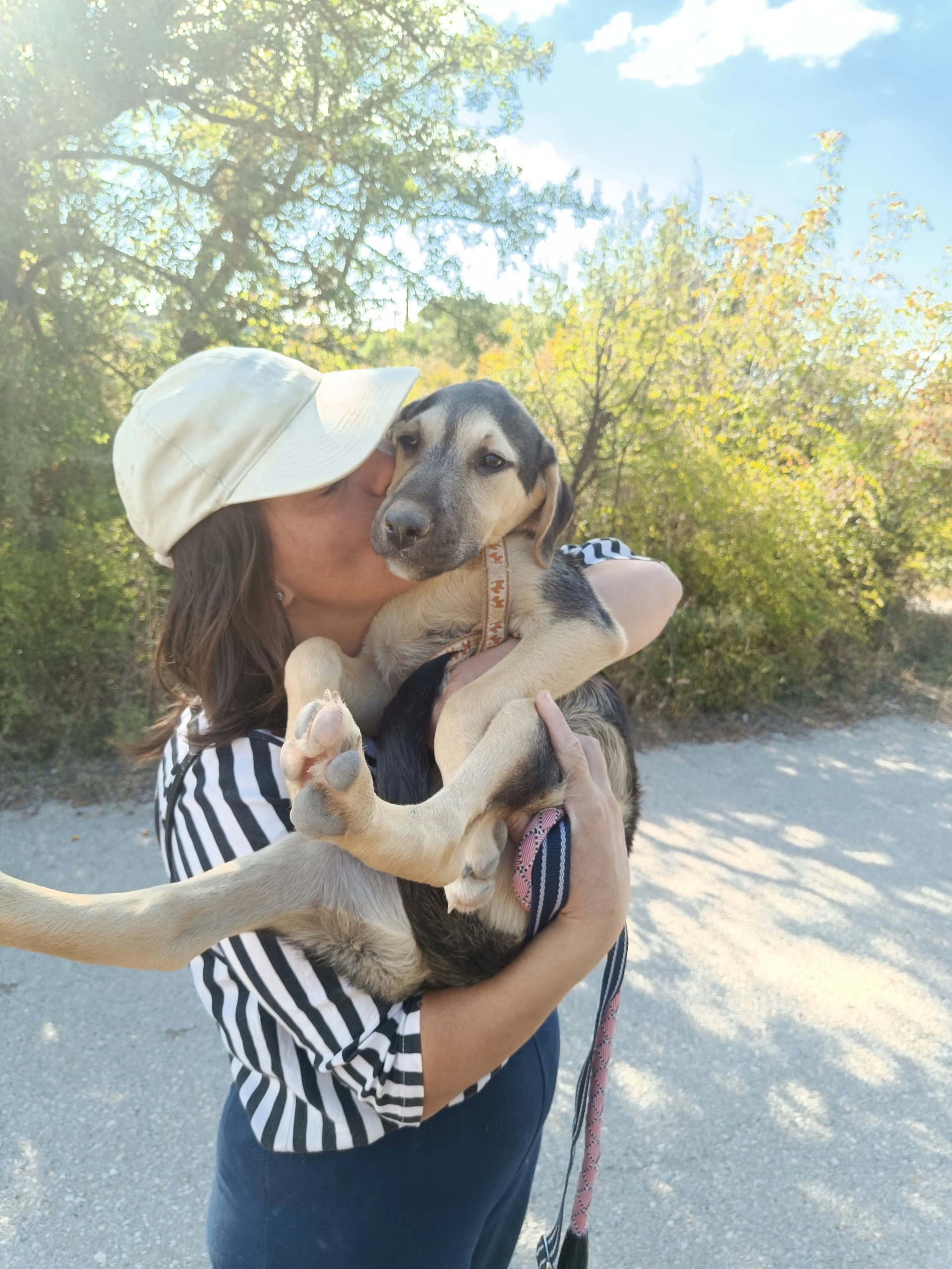 Meze Zorro Dogsavior Okt26 4
